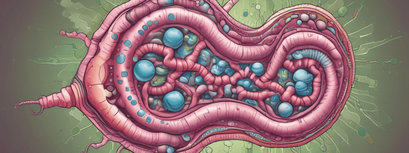 Lipid Digestion: Enzymes and Bile Salts