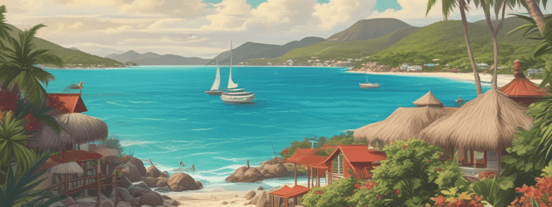 Tourism in the BVI: Economic Impact