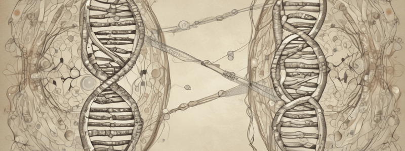 Chromosomal Deletions and Syndromes