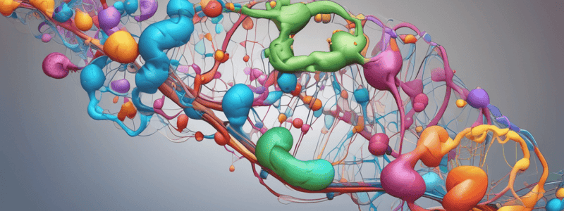 Biology RNA Synthesis