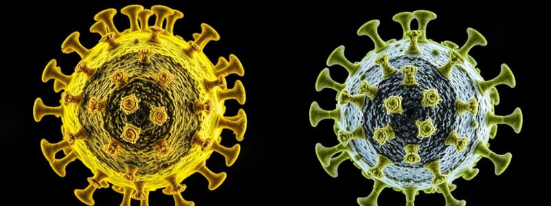 Viral Structure and Classification