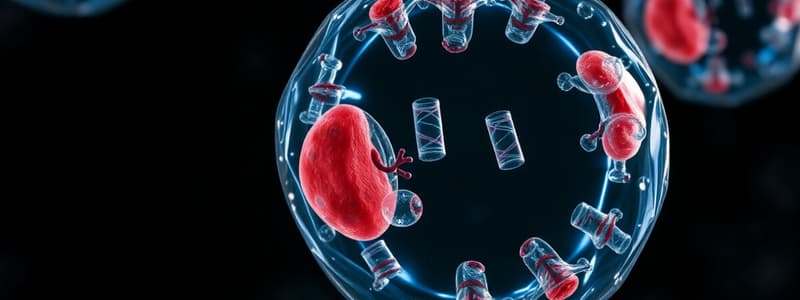 The Eukaryotic Cell Cycle