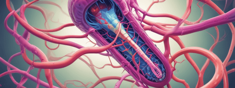 Lecture Objectives: Nematodes and Ancylostoma caninum