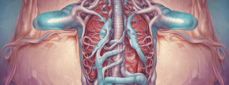 Pulmonary System: Gas Exchange Process