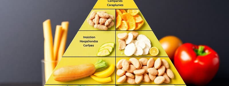 Nutrient Needs: Factors, Guidelines & Food Pyramid