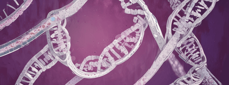 Chromosomal Abnormalities and Prenatal Screening