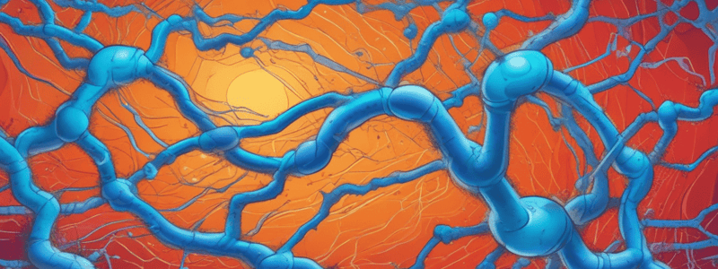 Phosphorylation Cascade in Signal Transduction