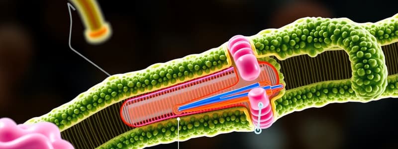 Module 4: Glucose Transport Overview