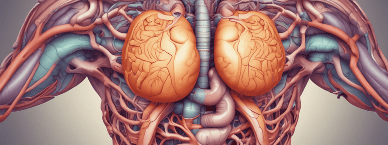 MBBS Year 1 Gastrointestinal Lectures