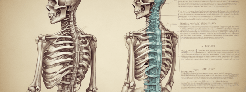 Traumatología: Columna Vertebral Tema 16