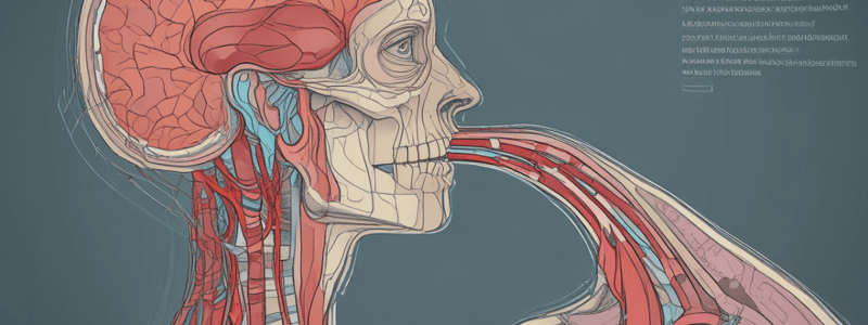 Anatomy and Sonography of the Abdomen