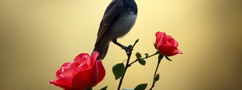 "El ruiseñor y la rosa" de Oscar Wilde