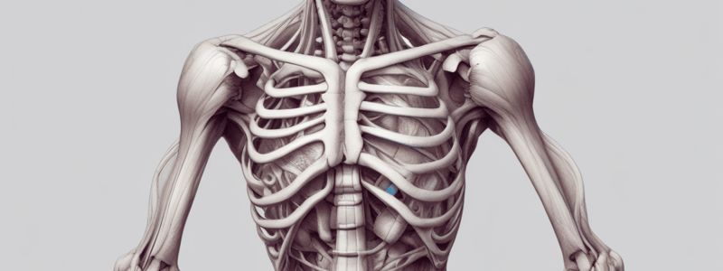 Skeletal Muscle Development in Vertebrates