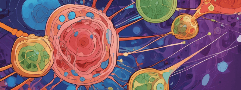 Protein Targeting in Eukaryotic Cells