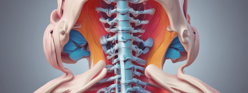 Intervertebral Disk Function and Stability Quiz