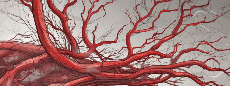 Lecture 1.2a - Blood vessel types and characteristics