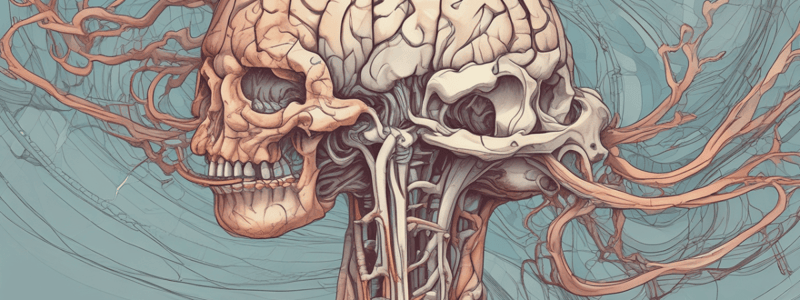 Cerebrospinal Fluid Flow and Dural Venous Sinuses