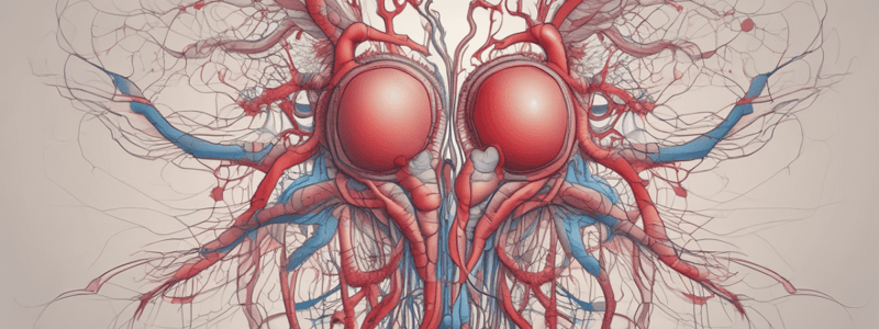 Biology: Circulatory System