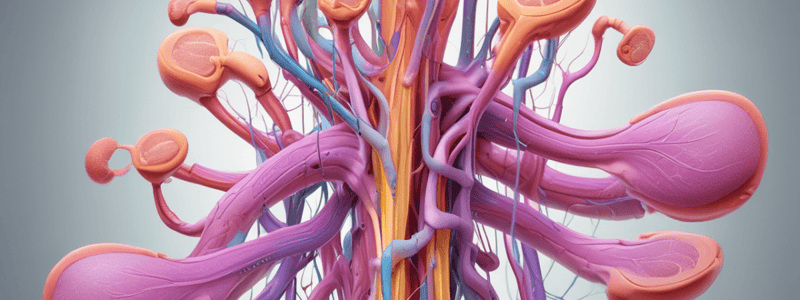 Renal Tubules and Interstitium Disorders Quiz