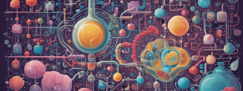 Amino Acid Classification by Chemical Properties