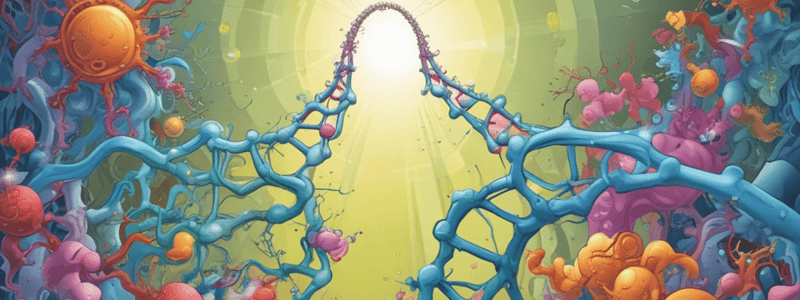 tRNA Structure and Function