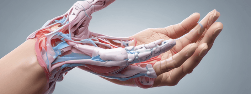 Hand and Wrist Patient Intake and Examination