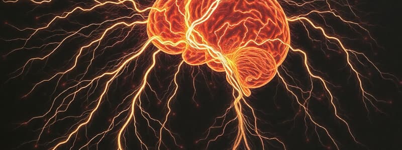 Neuroscience and the Nervous System Quiz