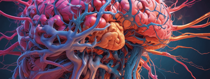 Neuroanatomy Part 1 Learning Outcomes