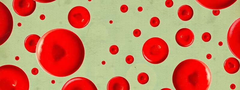 Red Blood Cell Production and Disorders