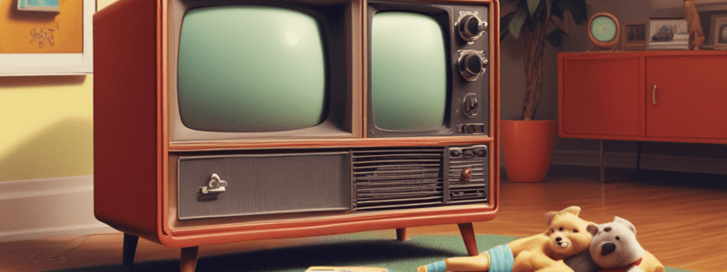 Television and Advertising in the 1950s