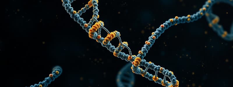 DNA Structure and Discoveries