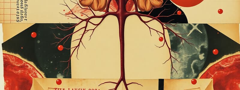 Circulatory System Overview