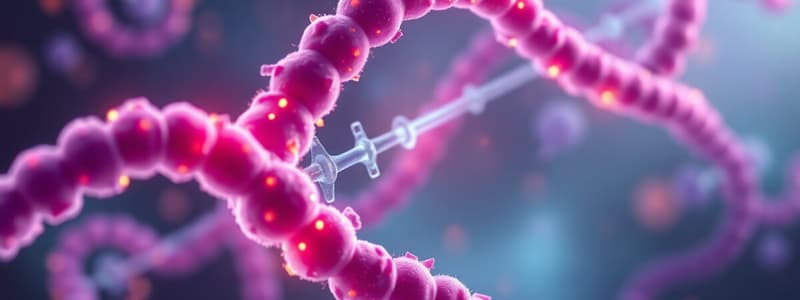 Transcription et Modifications Post-Transcriptionnelles