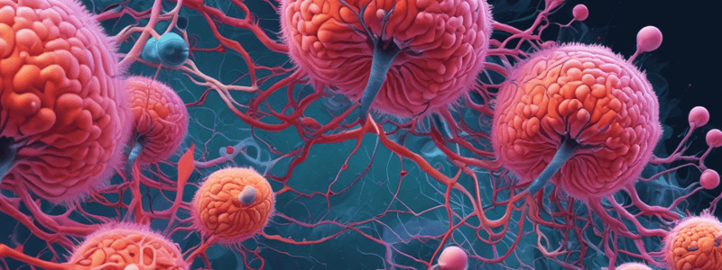 CNS Cell Types in Neuroscience: Haines Chapter 2 Quiz