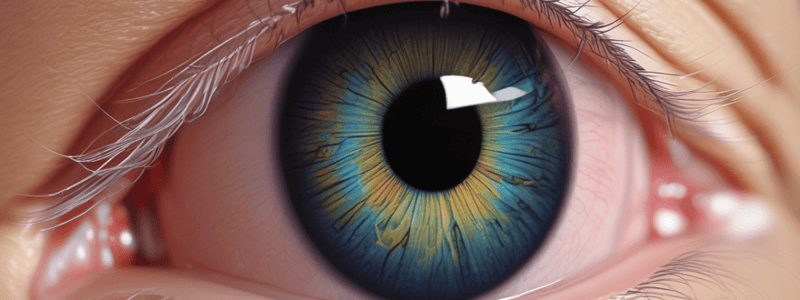 Corneal Edema Causes and Effects