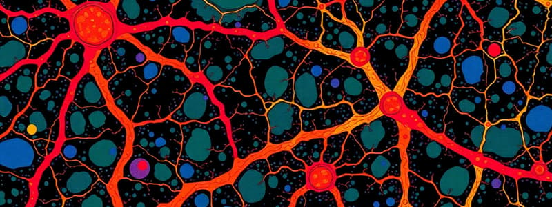 Cell Junctions and Extracellular Matrix Quiz