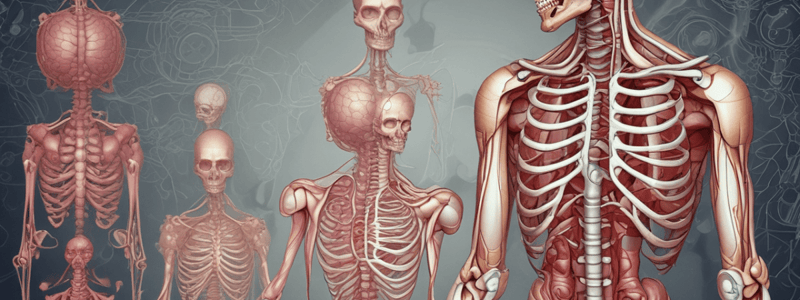  Organisation and Structure of the Human Body