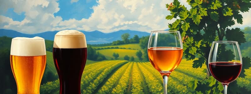 Beer and Wine Production Overview