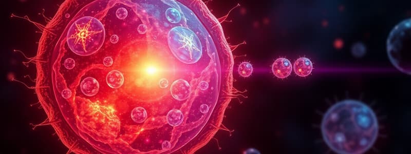 Cell Division and Mitosis Overview