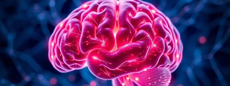 Neuroscience and Brain Functions