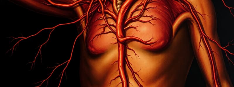 Circulatory System Overview