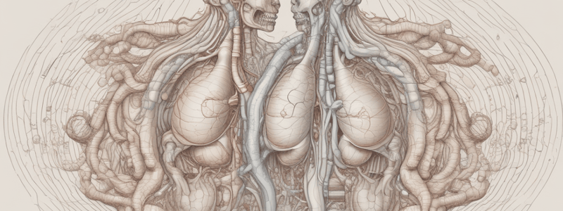 Respiratory System: Gas Exchange and Partial Pressure