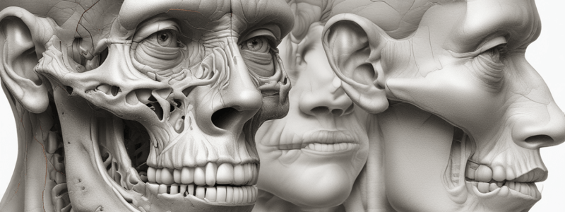 Nose & Paranasal Sinuses Anatomy