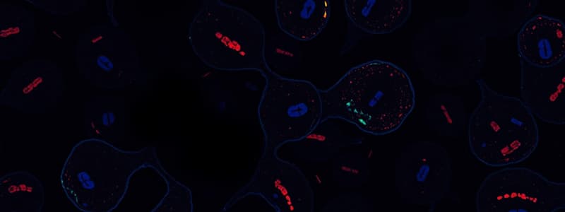 Biology Chapter 12: Eukaryotic Chromosomes