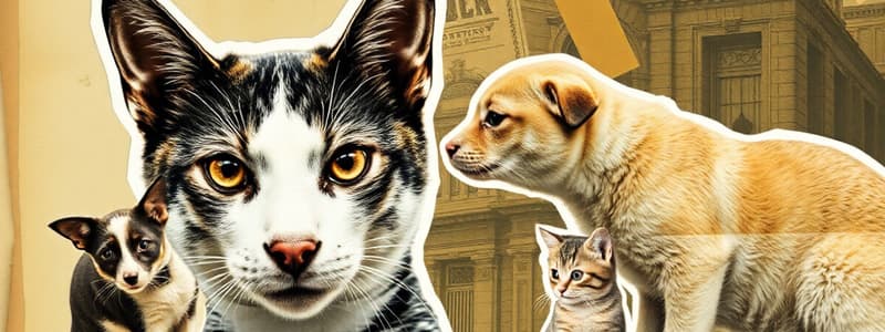 Animais de Estimação - Quiz