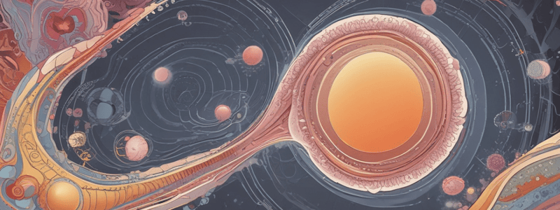 Fertilization Process