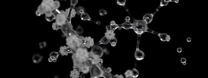 Monosaccharides, Disaccharides, and Polysaccharides