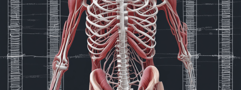 Control of Skeletal Muscle Activity: Motor Nerves and Motor Unit