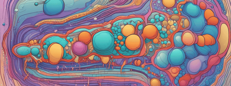 Membrane Components Quiz