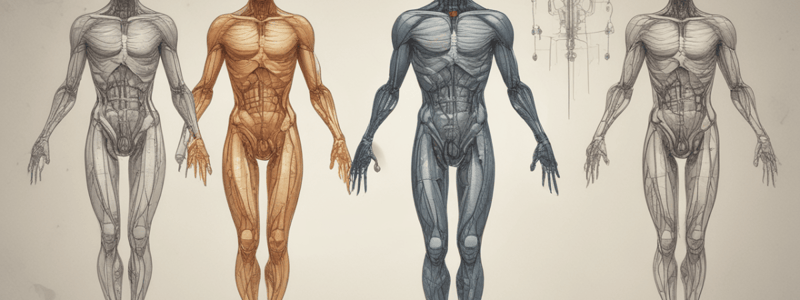 Human Body Water Composition